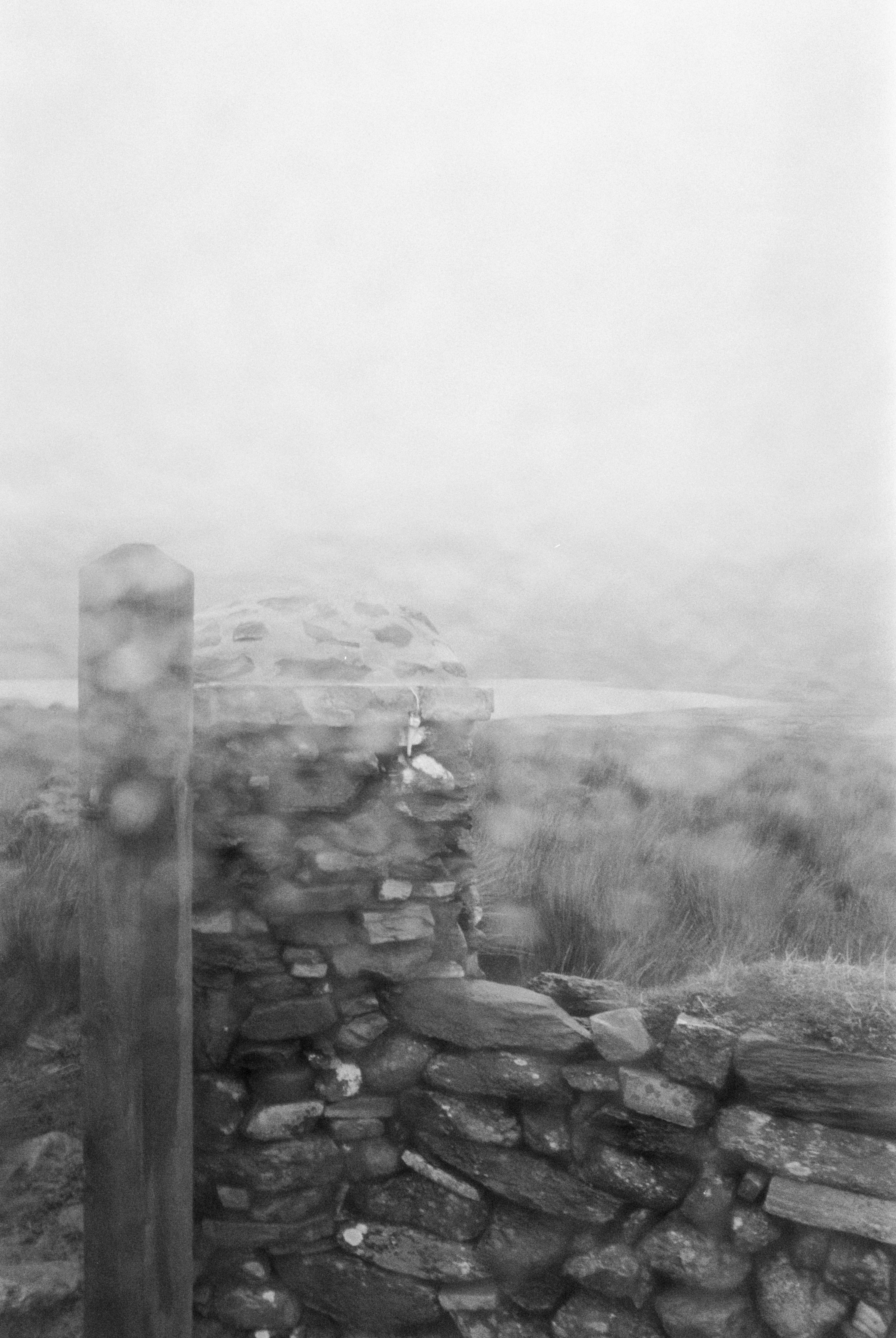 Print by Stephen Block