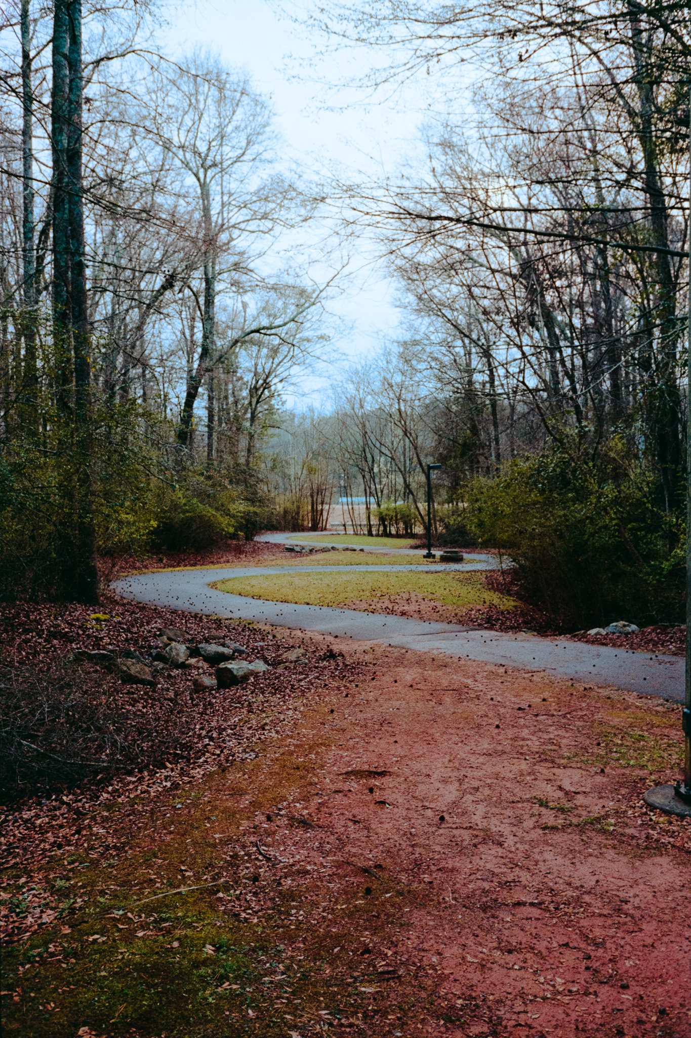 06.jpg