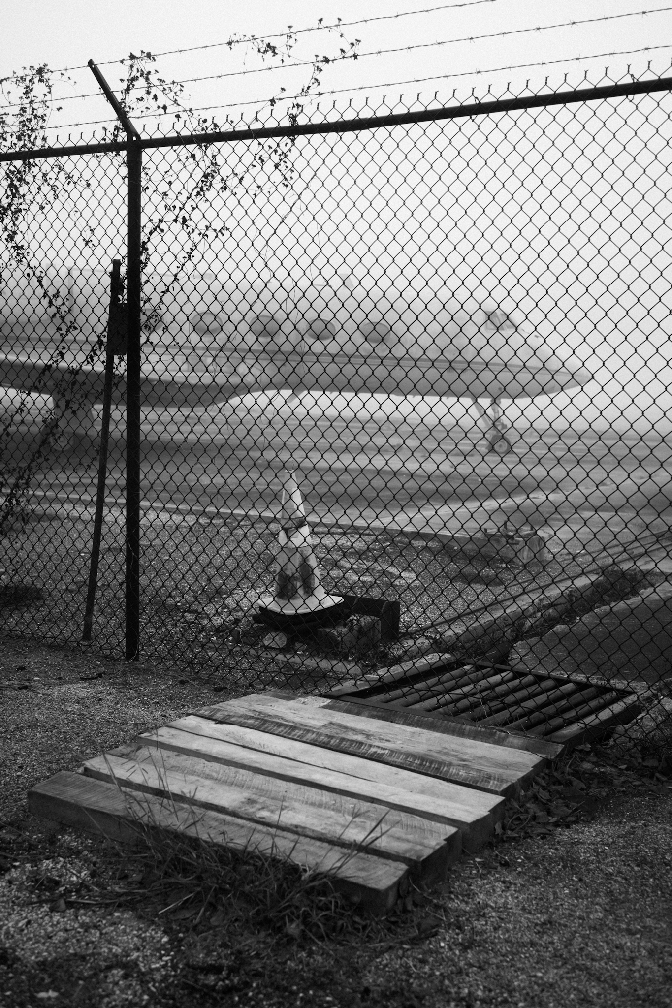 DSC_5778.jpeg